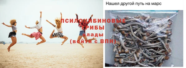 МДПВ Алзамай
