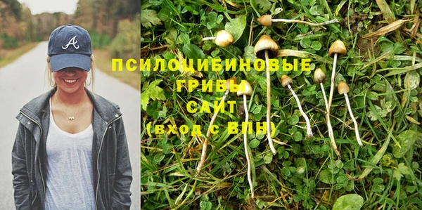 дмт Абаза